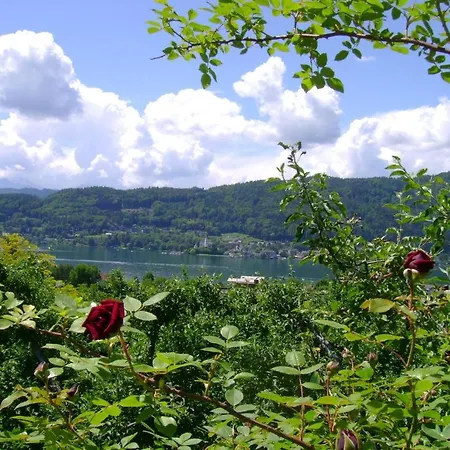 圣奥斯沃德霍夫酒店 Pörtschach am Wörthersee