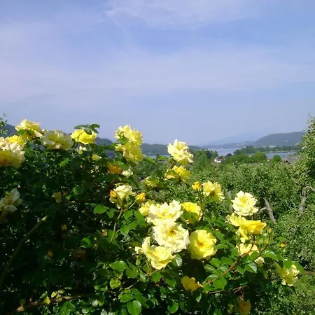 住宿加早餐酒店 圣奥斯沃德霍夫酒店 Pörtschach am Wörthersee