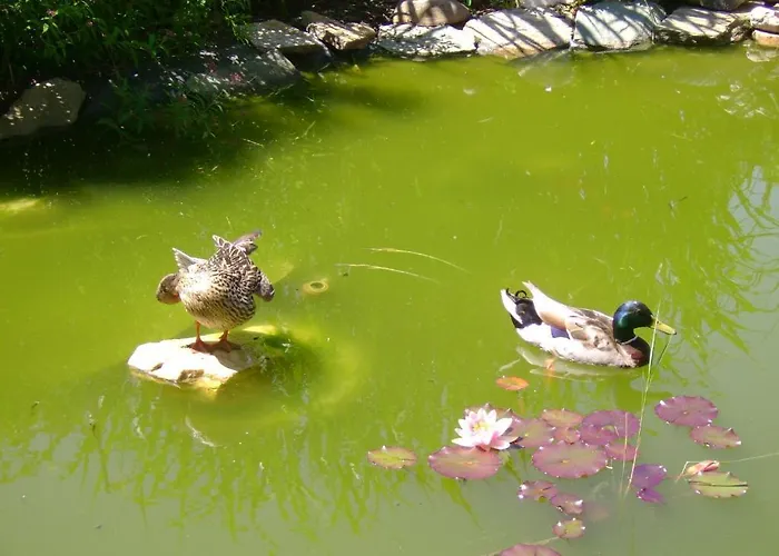 Bed & Breakfast St. Oswalderhof 3*